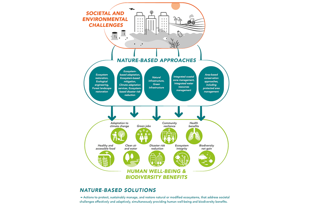 Übersicht von «Nature-based Solutions» im Bereich der nachhaltigen Entwicklung (Grafik: Nexus Brief February 2022/IUCN).