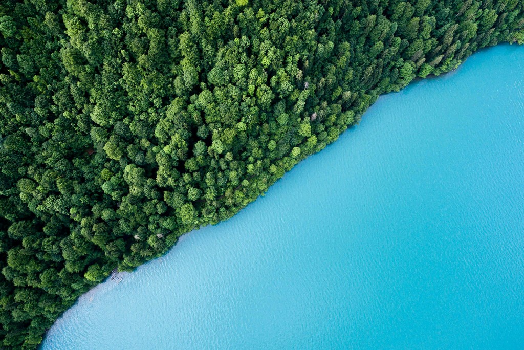 Foto: Andreas Gücklhorn / Unsplash
