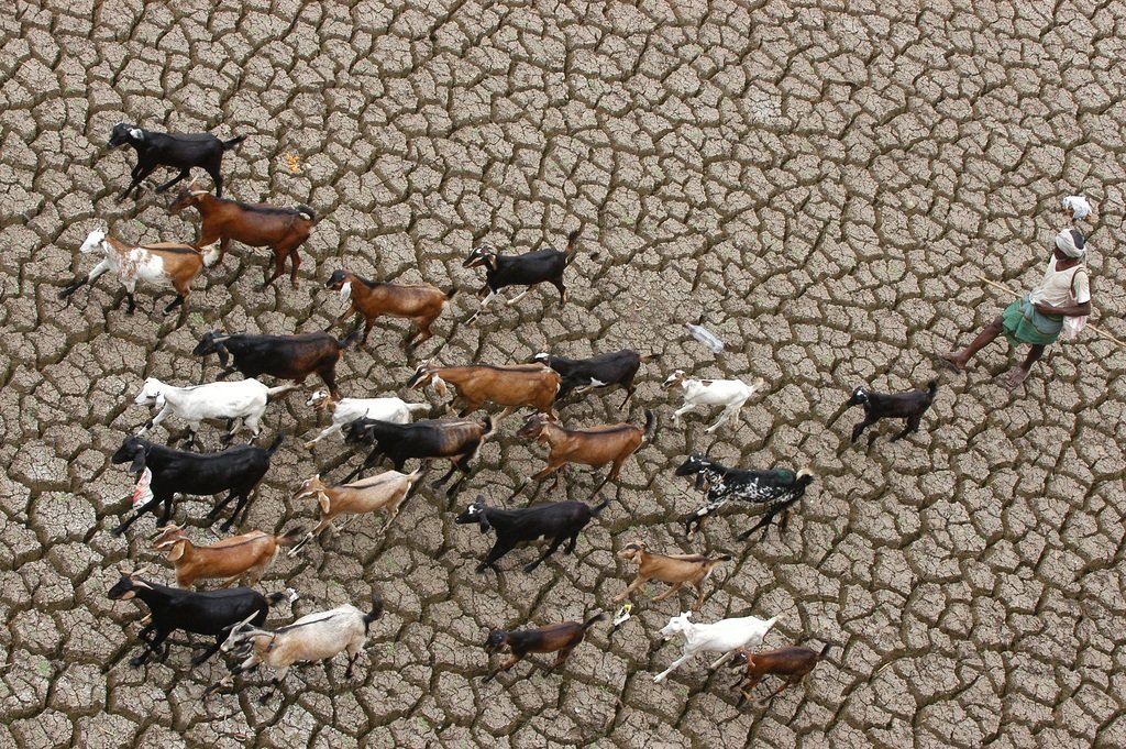 Die Studie soll die Schweizer Sicherheitspolitik dabei unterstützen, klimabedingte Sicherheitsrisiken frühzeitig zu erkennen und angemessene Präventionsmassnahmen zu ergreifen. (Foto: Keystone)