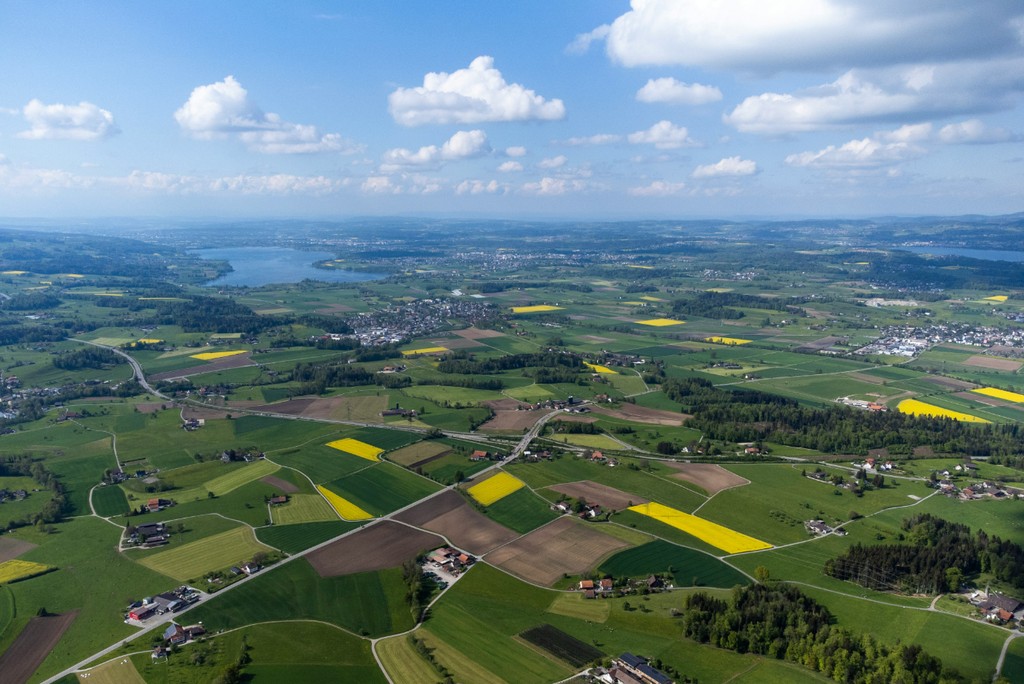 Die agrarpolitischen Ziele – und was ausserhalb der Agrarpolitik auf sie einwirkt: Es wurden 80 Aktivitäten von Verbänden, Unternehmen oder der öffentlichen Hand entlang der Wertschöpfungskette beleuchtet. (Foto: iStock / Ilia Bronskiy)