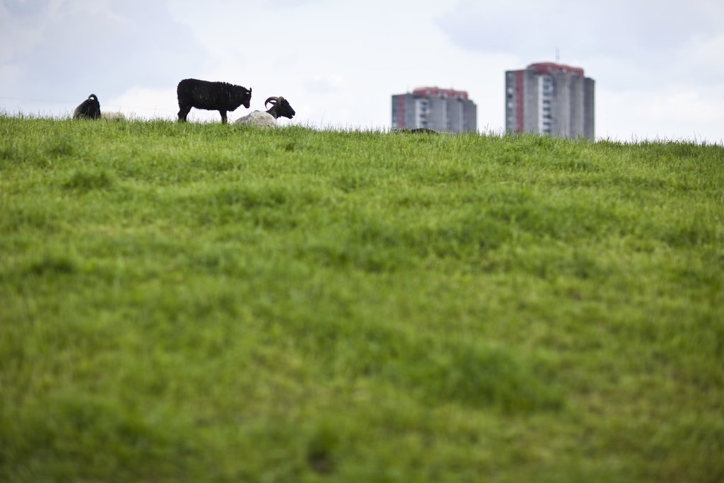 Blick auf den Rand von Bern Betlehem: In der Schweiz sind Stadt und Land nah beieinander – inwiefern werden Herausforderungen raumübergreifend angepackt? (Foto: Keystone-SDA / Gaetan Bally)