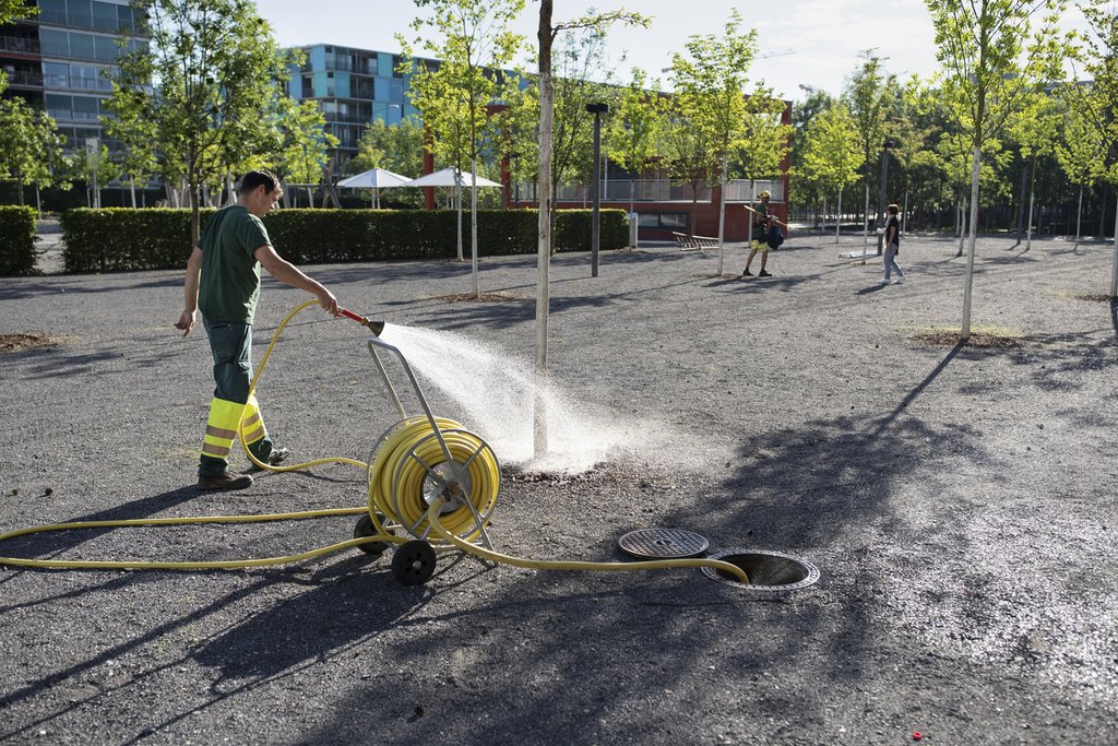 Ein Beispiel für klimaangepasste Innenentwicklung: Bäume tragen zur Kühlung von Siedlungsräu-men bei und steigern gleichzeitig die Lebensqualität. (Foto: Keystone-SDA).