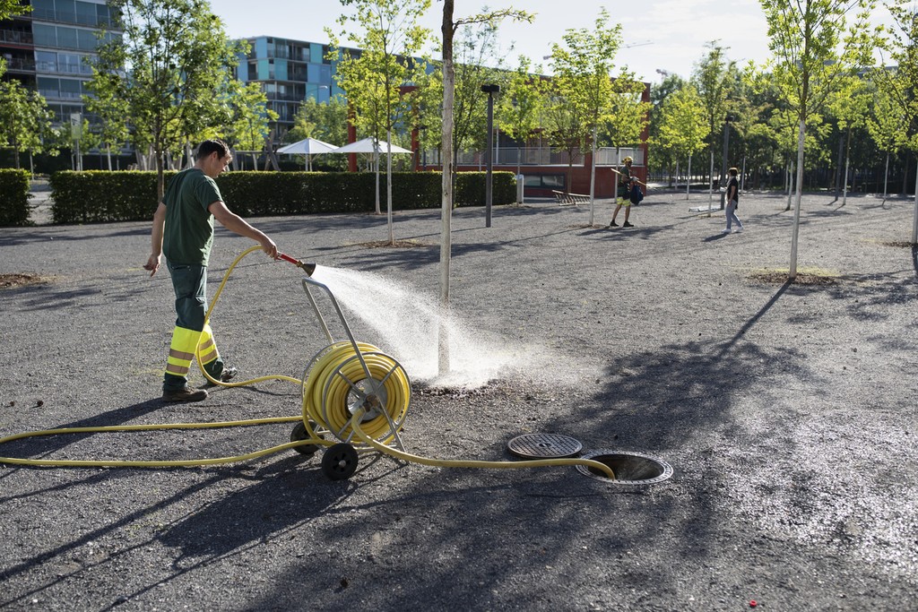 Ein Beispiel für klimaangepasste Innenentwicklung: Bäume tragen zur Kühlung von Siedlungsräu-men bei und steigern gleichzeitig die Lebensqualität.  (Foto: Keystone-SDA).
