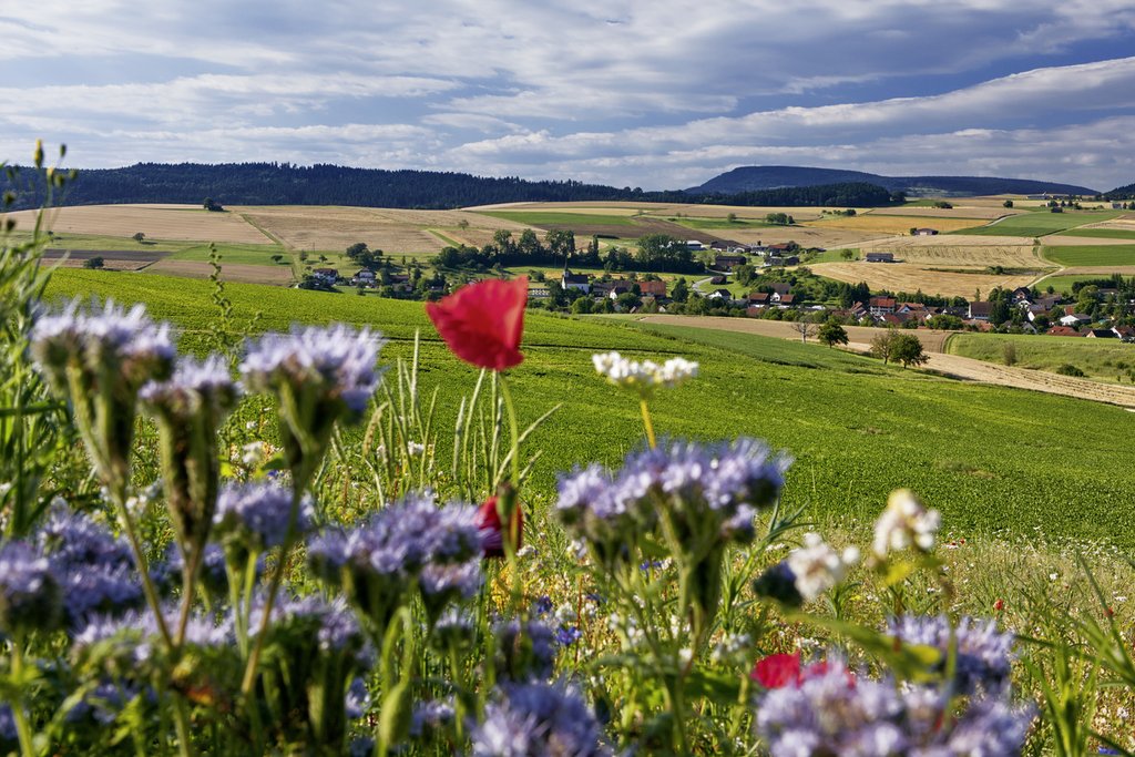 Biodiversität bezeichnet die Vielfalt des Lebens auf der Erde, einschliesslich der Vielfalt an Arten, genetischen Variationen innerhalb von Arten und der Vielfalt der Ökosysteme. Sie umfasst alle lebenden Organismen und deren komplexe Wechselwirkungen miteinander und mit ihrer Umwelt. (Foto: Keystone-SDA / Alexander Dietz)