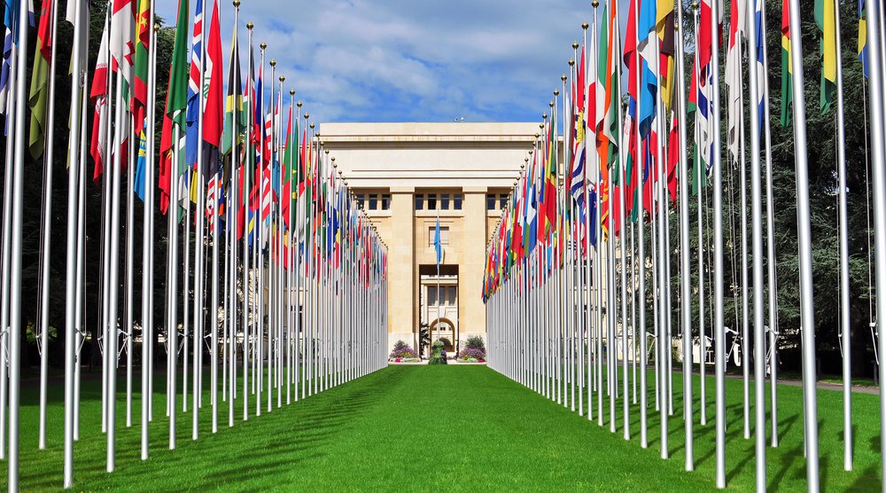 Foto: krasnevsky/Fotolia