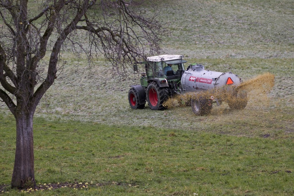 Beim Ausbringen von Hofdünger entweicht Stickstoff in die Atmosphäre und ein Teil gelangt in Form von Nitrat in Oberflächengewässer und Grundwasser. (Foto: Keystone-SDA)