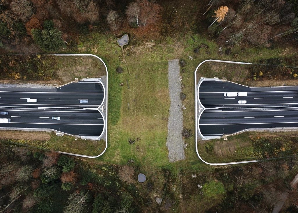 Wildtierbrücke über der Autobahn A1. © Keystone/Christian Beutler