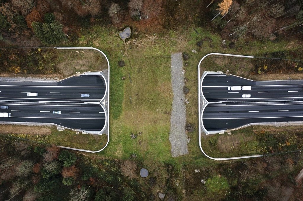 Wildtierbrücke über der Autobahn A1. © Keystone/Christian Beutler