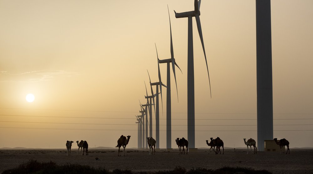 International cooperation will be key for reaching the mitigation goals of the Paris Agrement. (Photo: Keystone-SDA)