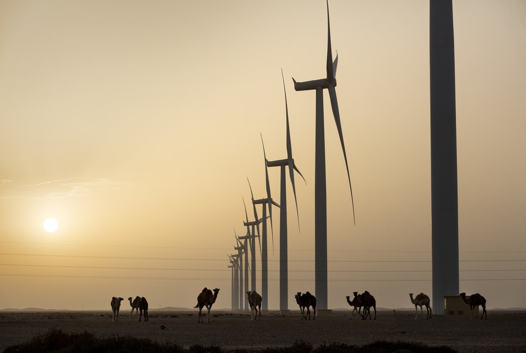 Beim Klimaschutz sind viele Länder auf internationale Zusammenarbeit angewiesen. (Foto: Keystone-SDA)