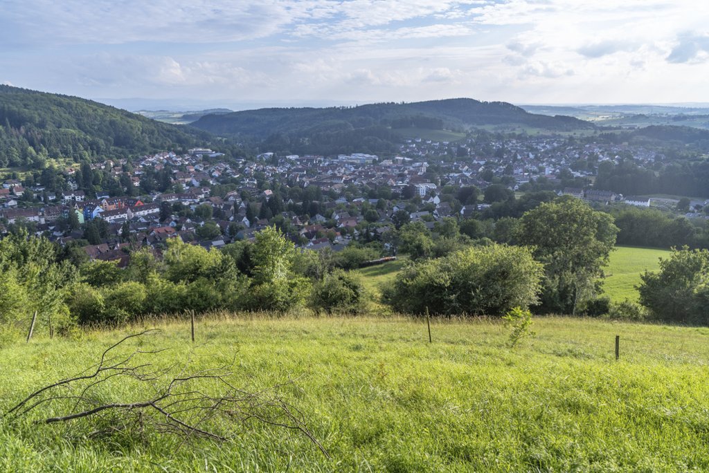 Blick auf die Stadt Kandern: Nebst dem Verkehr sollen die Themen Siedlung und Landschaft im Kandertal koordiniert angegangen werden. (Foto: Keystone-SDA / Mauritius Images / Timm Humpfer Image Art)