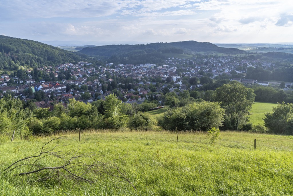 Blick auf die Stadt Kandern: Nebst dem Verkehr sollen die Themen Siedlung und Landschaft im Kandertal koordiniert angegangen werden. (Foto: Keystone-SDA / Mauritius Images / Timm Humpfer Image Art)
